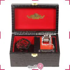 رزجاودان و موزیک باکس طرح سوپرایزیg-rj-rah-782