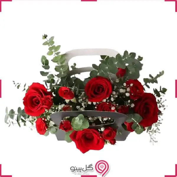 فلاور بگ سارنfb3