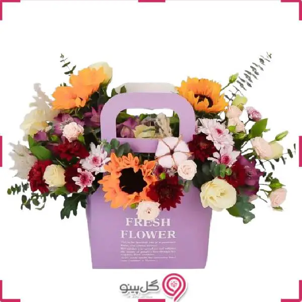 فلاور بگ آیلاfb5