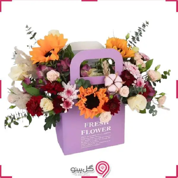 فلاور بگ آیلاfb5