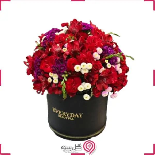 باکس گل سویاg-bo-mir-108