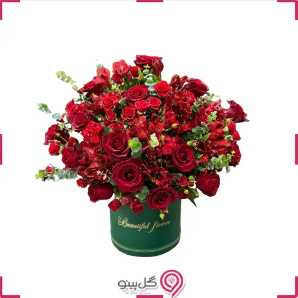 باکس گل یارا g-bo-mir-106