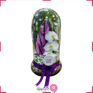 تراریوم مارالg-tr-mir-105