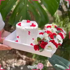 باکس گل پریا g-bo-hnz-2060