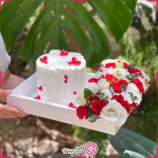 باکس گل پریا g-bo-hnz-2060