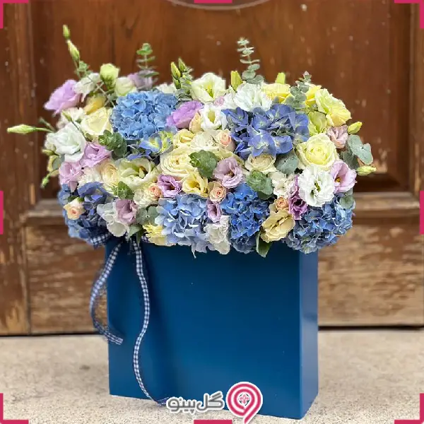 باکس گل ماریا