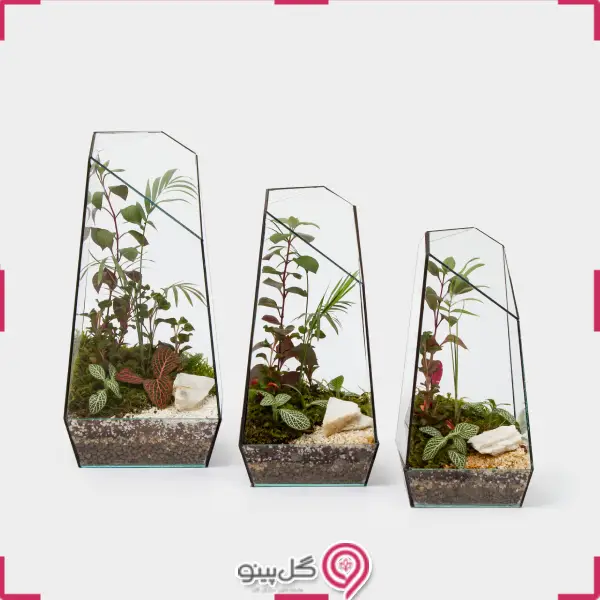 تراریوم نیلا g-tr-sol-111