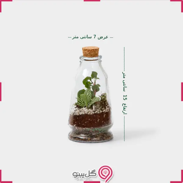 تراریوم شهرزاد g-tr-sol-122