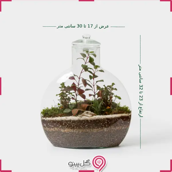 تراریوم کیمیا g-tr-sol-123