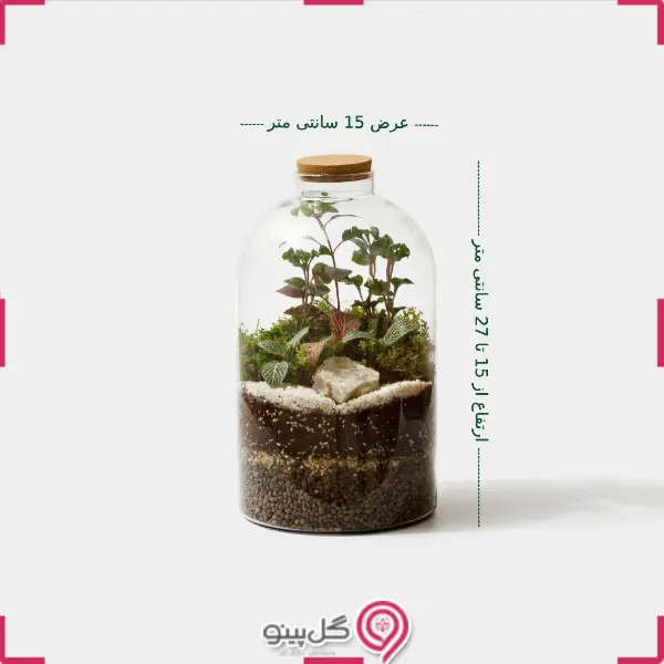 تراریوم ستاره g-tr-sol-124