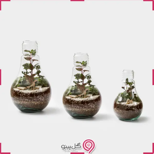 تراریوم کهکشان g-tr-sol-125