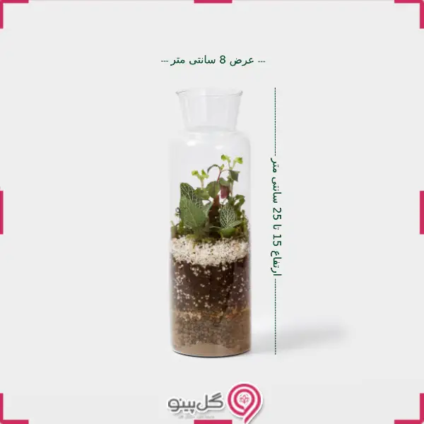 تراریوم سپنتا g-tr-sol-127