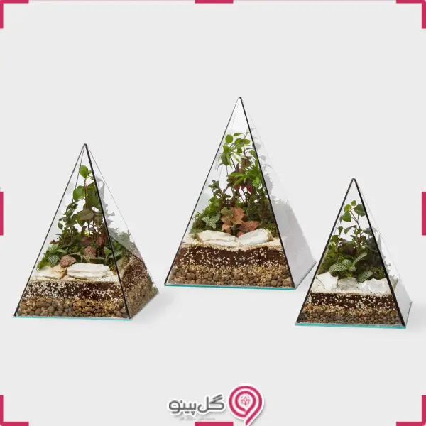 تراریوم آروشا g-tr-sol-132