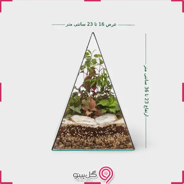 تراریوم آروشا g-tr-sol-132