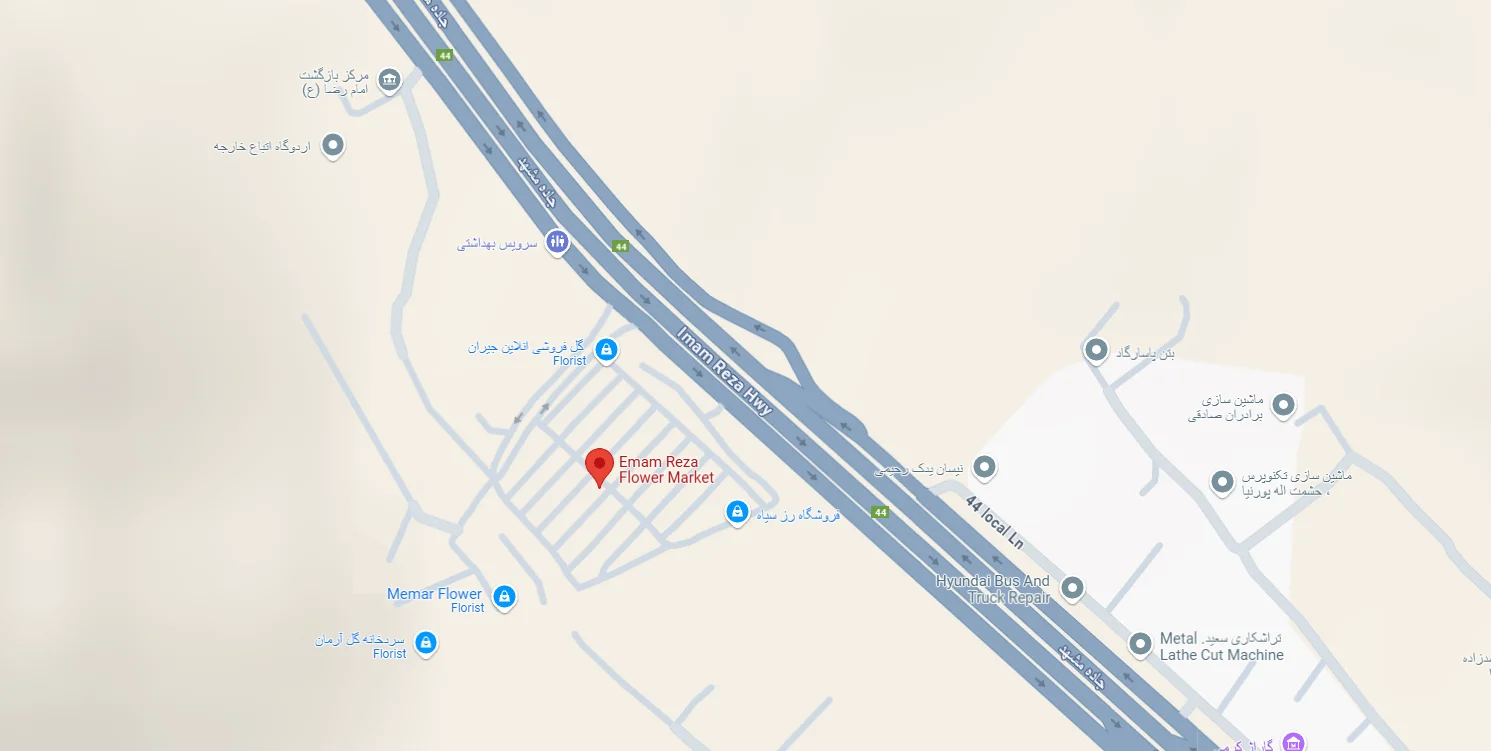 لوکیشن بازار گل امام رضا - گل پینو
