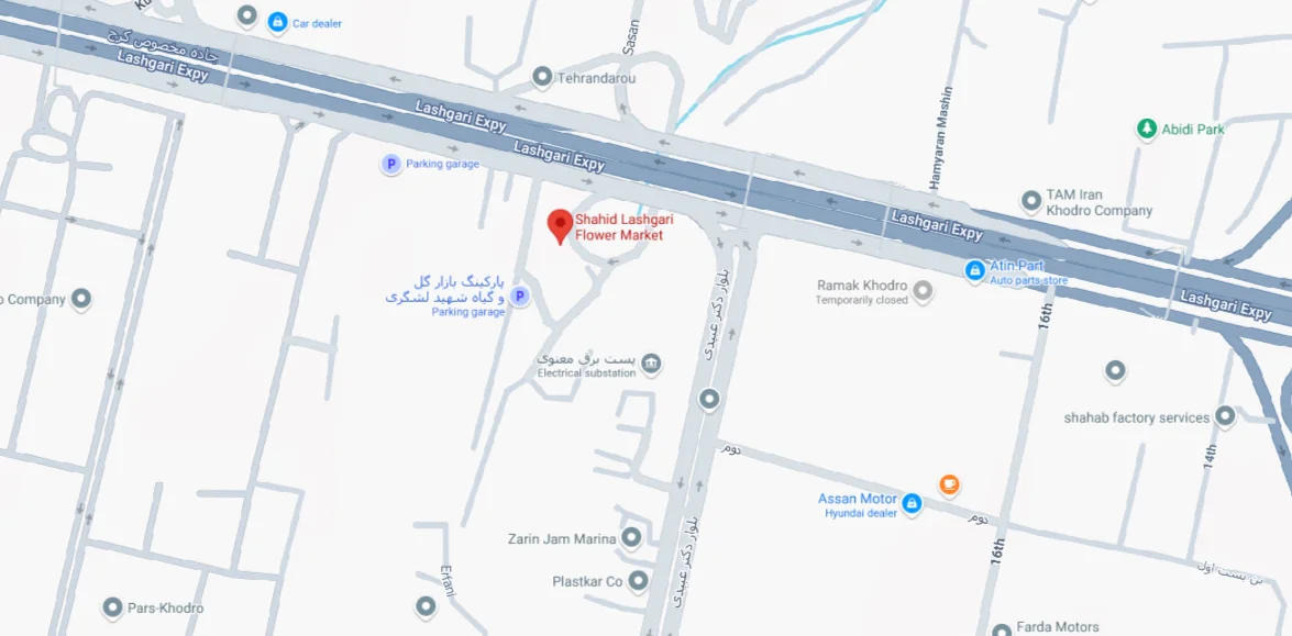 لوکیشن بازار گل شهید لشگری- گل پینو