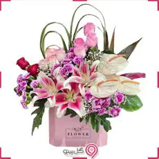 باکس گل میرسانا g-bo-van-616