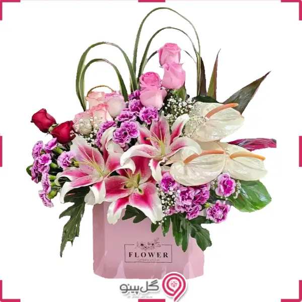 باکس گل میرسانا g-bo-van-616