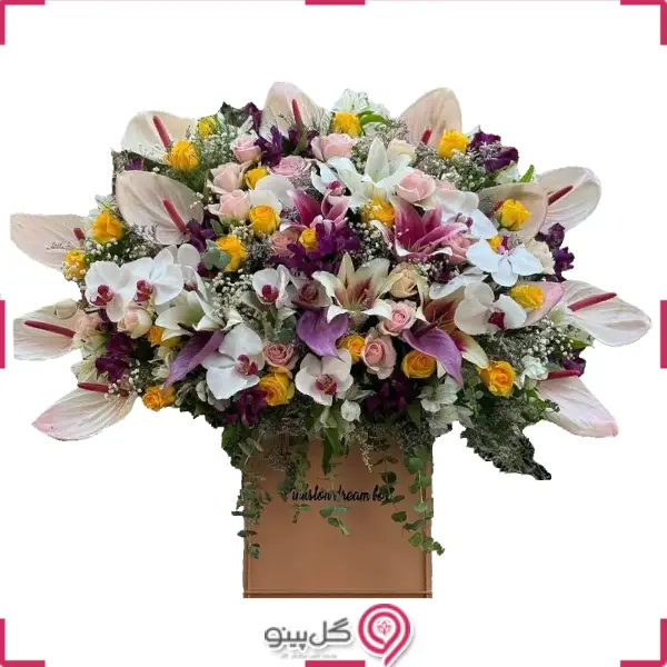 باکس گل هانس g-bo-pan-203