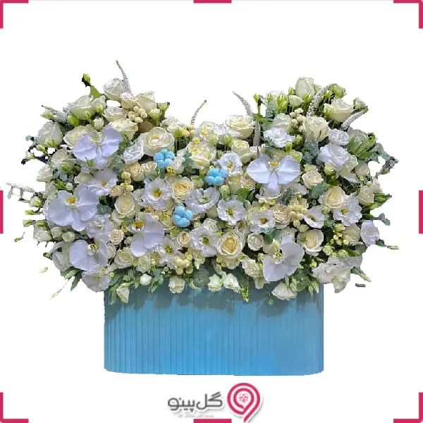 باکس گل الیزابت g-bo-sas-206