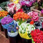 معرفی گلفروشی های دارآباد