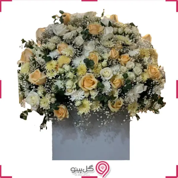 باکس گل آرسین g-bo-gm-1002