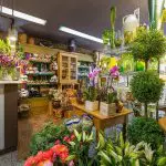 معرفی گلفروشی های قیطریه