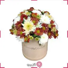 باکس گل تاینا g-bo-gm-1015