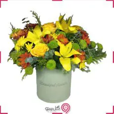 باکس گل تانیا g-bo-gm-1018