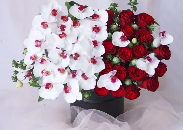 گل مخصوص روز پدر