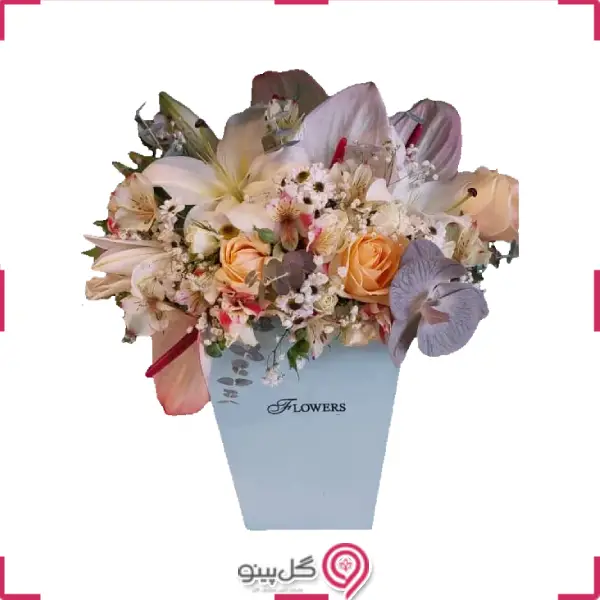 باکس گل تاینار g-bo-lot-430