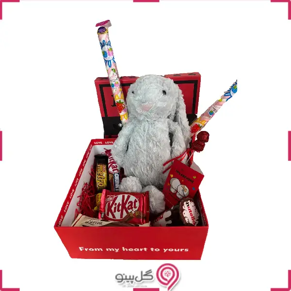 باکس VIP ولنتاین خرگوشی g-gbo-gl-102